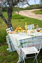 Nappe Delvaux Tree