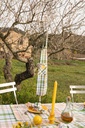 Tablier Delvaux Tree