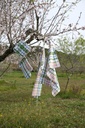 Torchons Delvaux Tree (Lot de 2)
