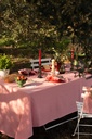 Nappe Fabry Tomato
