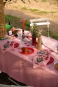 Nappe Fabry Tomato
