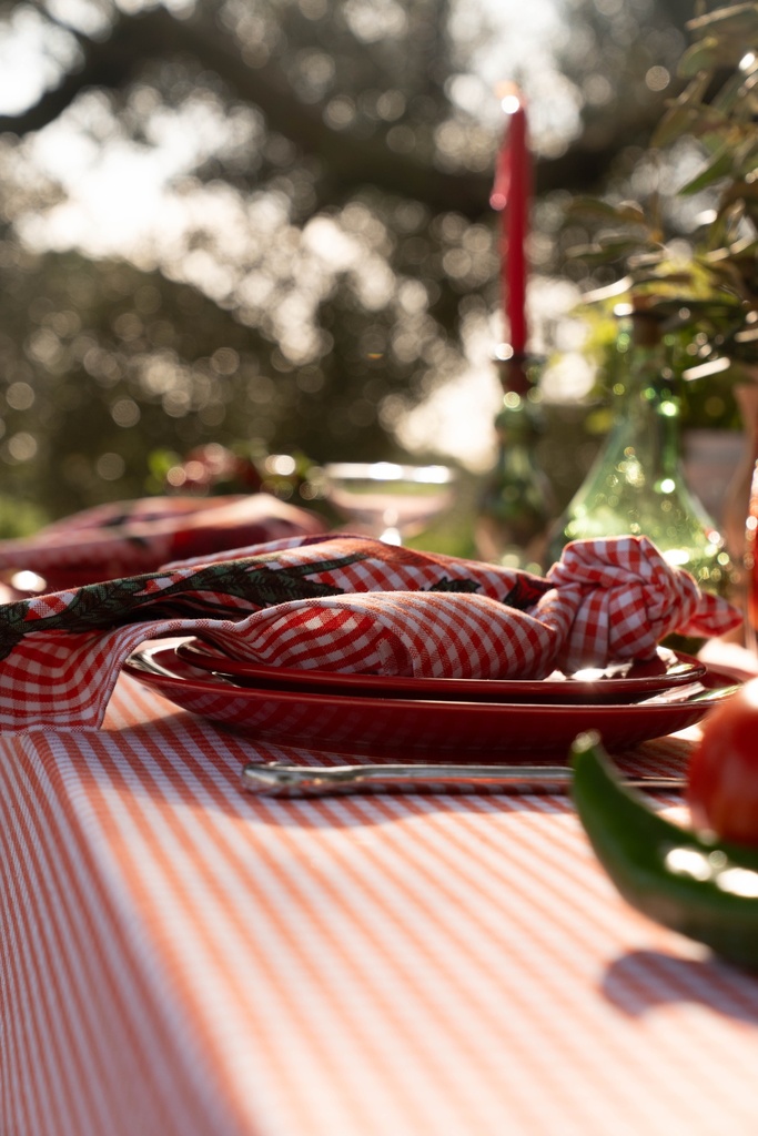Serviettes Fabry Tomato (Lot de 2)