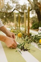 Nappe Perry Moss