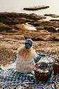 DSC09951.webp