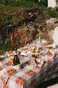 DSC08682.webp