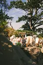 DSC08830.webp