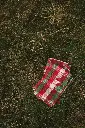 DSC01005.webp
