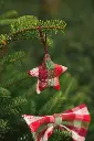 DSC01203.webp