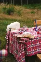 DSC00719.webp