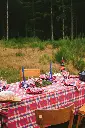 DSC00721.webp