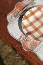 DSC08850 copiebleu2.webp
