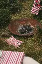 DSC01433.webp
