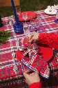 DSC00894.webp