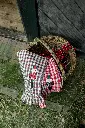 2026_MaisonDinette14957.webp