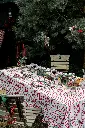 2026_MaisonDinette15011_MTt.webp