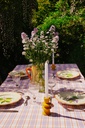 Nappe Klee Orchid 