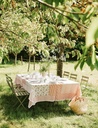 Nappe Richter Ginger
