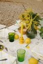 Nappe Arcimboldo Yellow