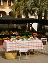 Nappe Arp Tomato