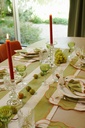 Chemin de table Perry Moss