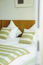Coussin Perry Moss