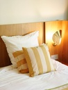 Coussin Irvin Nude