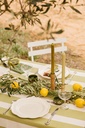 Nappe Perry Moss
