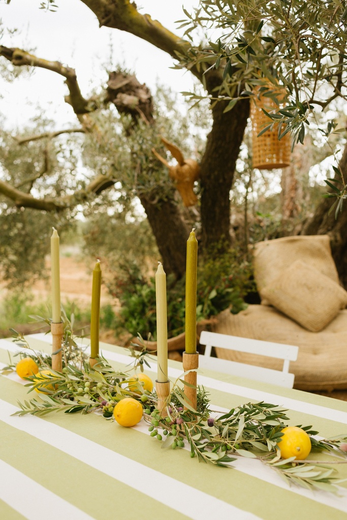 Nappe Perry Moss