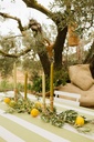 Nappe Perry Moss