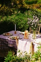 Nappe Klee Orchid 