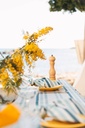 Nappe Alechinsky Sky