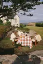 Tablecloth Highland Cappuccino
