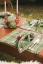 Placemats Potter Green (Set van 2)
