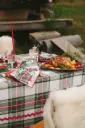 Tablecloth Highland Snow