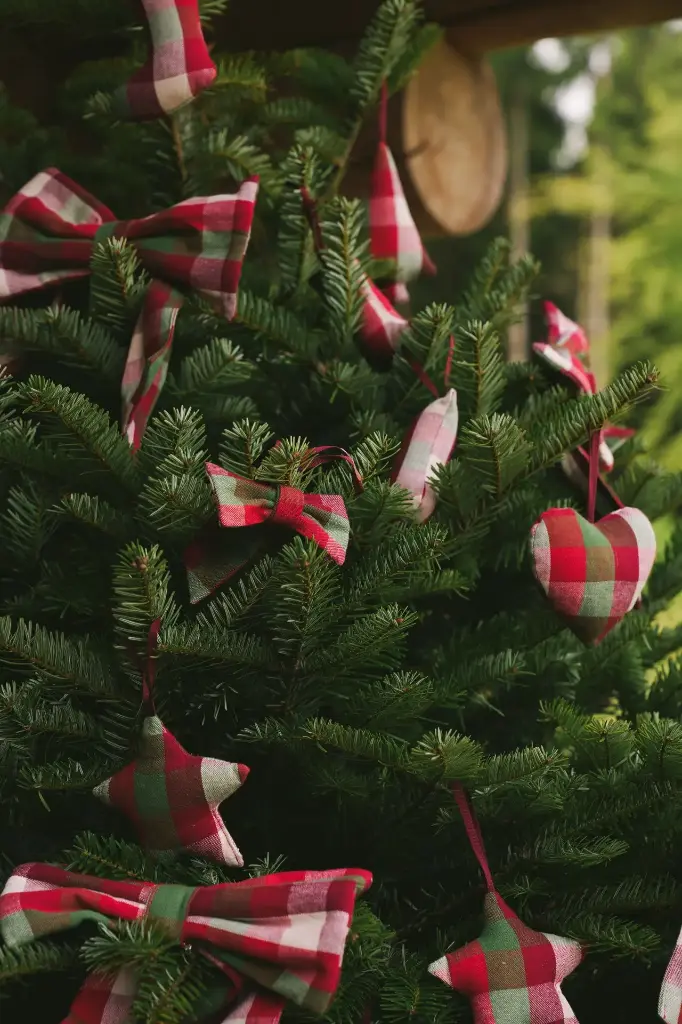 Kerstversiering Kantine Chili (Set van 4)
