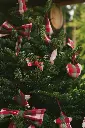 Kerstversiering Kantine Chili (Set van 4)