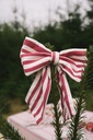 Bows Noëline Burgundy (Pack of 2)