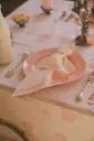 Eugénie Pink - napkins (Pack of 2)