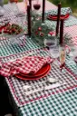 ANATOLE red - placemats (Set van 4)