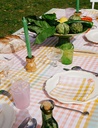 Nappe Delaunay Coral