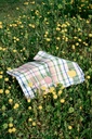 Kitchen towels Delvaux Tree (Pack of 2)
