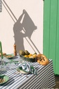 Tablecloth Boch Blue