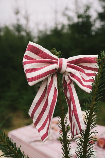 [Noëline-B-79-B] Bows Noëline Burgundy (Pack of 2)
