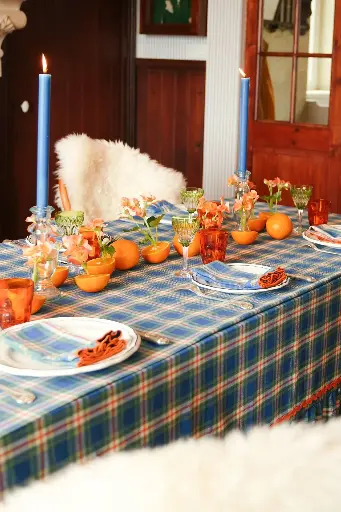 [Blake-B-52-C] Blake Blue Coated Tablecloth