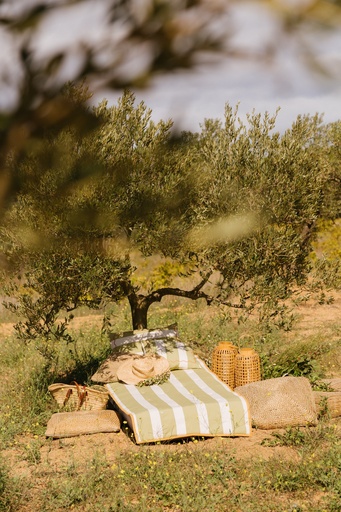[Perry-B-35-E] Bedroll Perry Moss