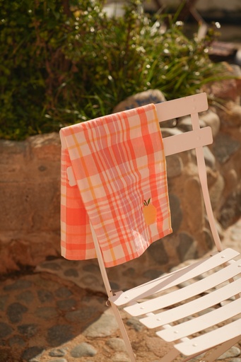 [Delvaux-B-17-T] Kitchen towels Delvaux Papaya (Pack of 2)
